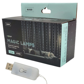 Kurtyna LED 100xLED barwa zimna 1x1m IP65 ML61620 Ecolight