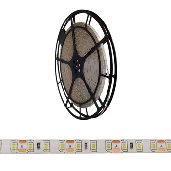 Taśma LED 12V 25m 9,6W/m 6500K 600lm/m IP63 Ecolight